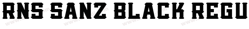RNS Sanz Black Regul字体转换
